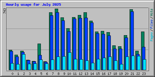 Hourly usage for July 2025
